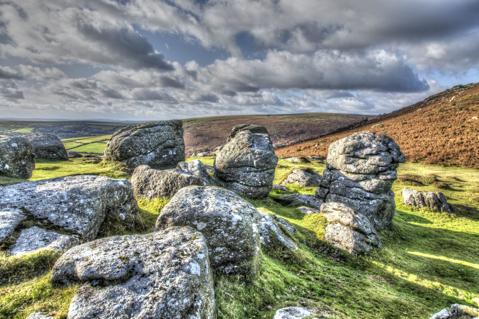dartmoor stones
